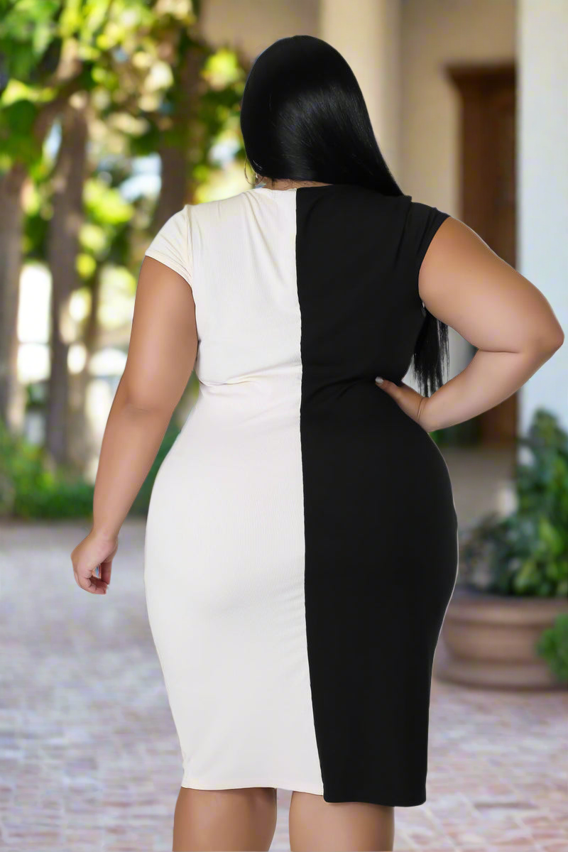 PERFECT BLEND| DRESS